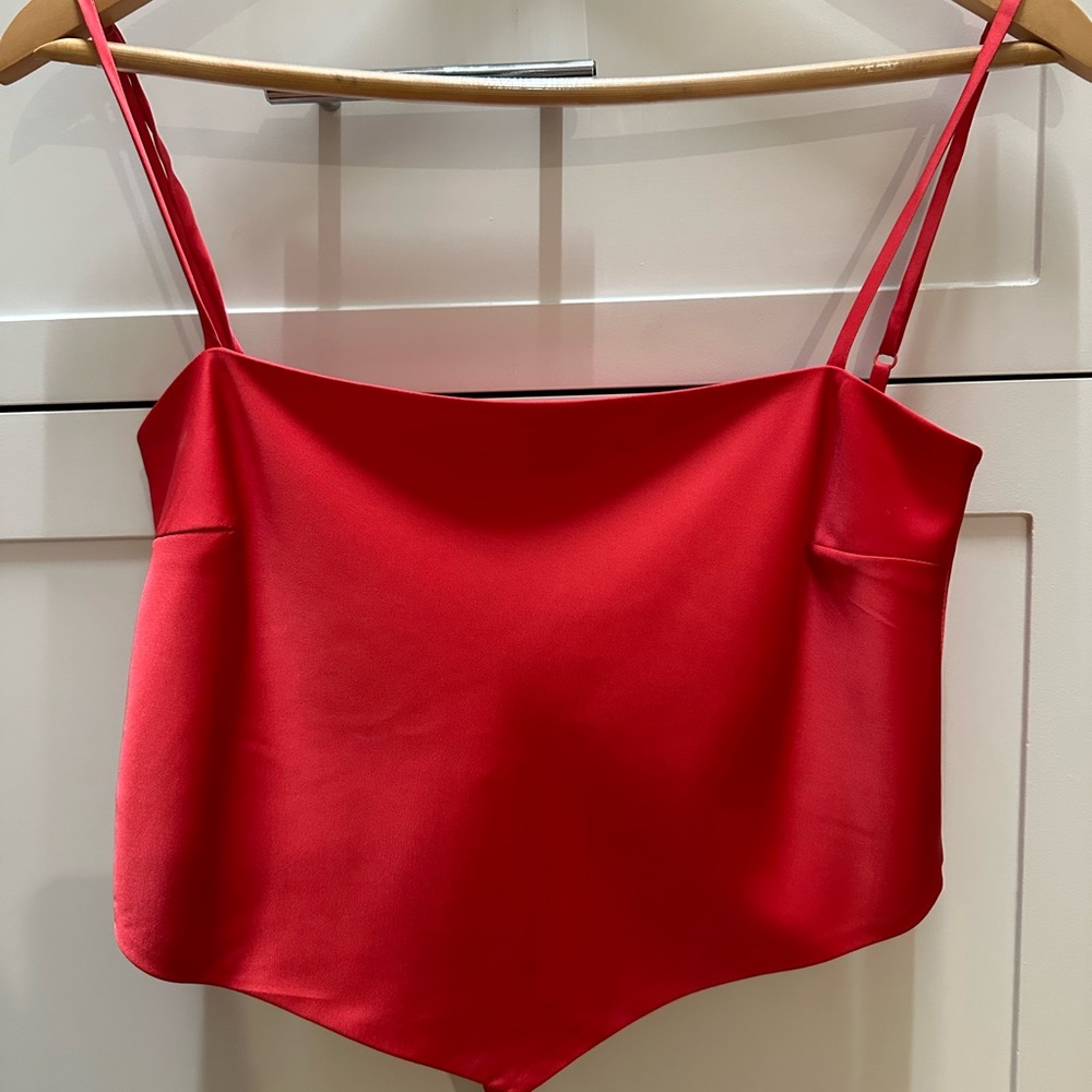 ARITZIA Silk Camisole